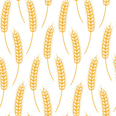 Buğday pürüzsüz desen. Buğday kulağı siluetleriyle kusursuz bir desen. Vektör illüstrasyonu