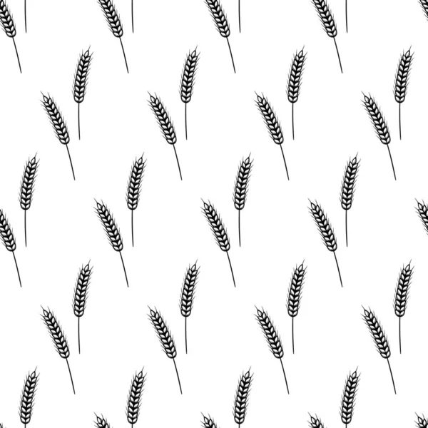 小麦耳朵，燕麦耳朵或黑麦耳朵无缝图案。全麦，天然的，有机的背景为烘焙包。小麦的病媒背景. — 图库矢量图片