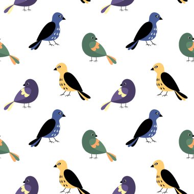Kuş desenli vektör. Renkli kuşlarla kusursuz bir arkaplan.
