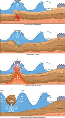 Tsunami dalgaları