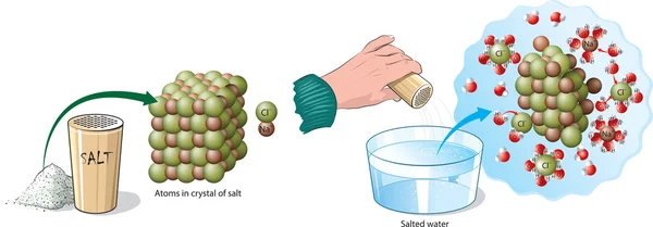 Cristales de sal — Vector de stock