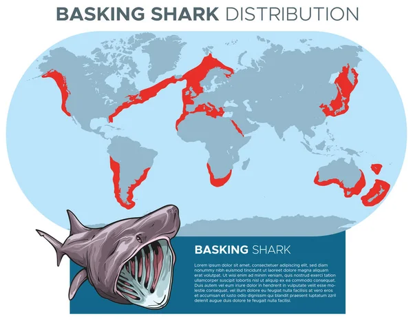 Vector Illustratie Van Basking Haaien Distributie Kaart Bewonen Gematigde Kustlijnen — Stockvector