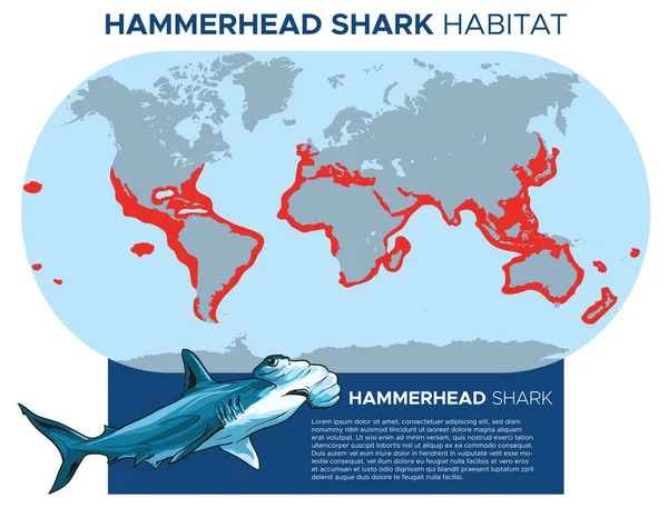Vector Illustratie Van Hammerhead Haaien Distributie Kaart Infografische Template Ontwerp — Stockvector