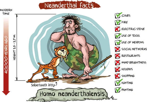 Vector Ilustración Dibujos Animados Homo Neanderthalensis Divertida Versión Cómica Datos — Archivo Imágenes Vectoriales