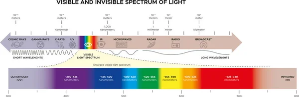 Spektrum Látható Részének Hullámhossza Emberi Szem Számára Fehér Fény Spektrumának — Stock Vector