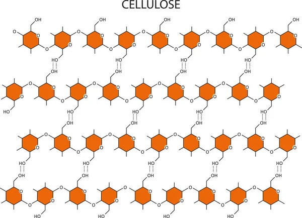 Vector Drawing Simplified Chemical Structure Cellulose — Stock Vector