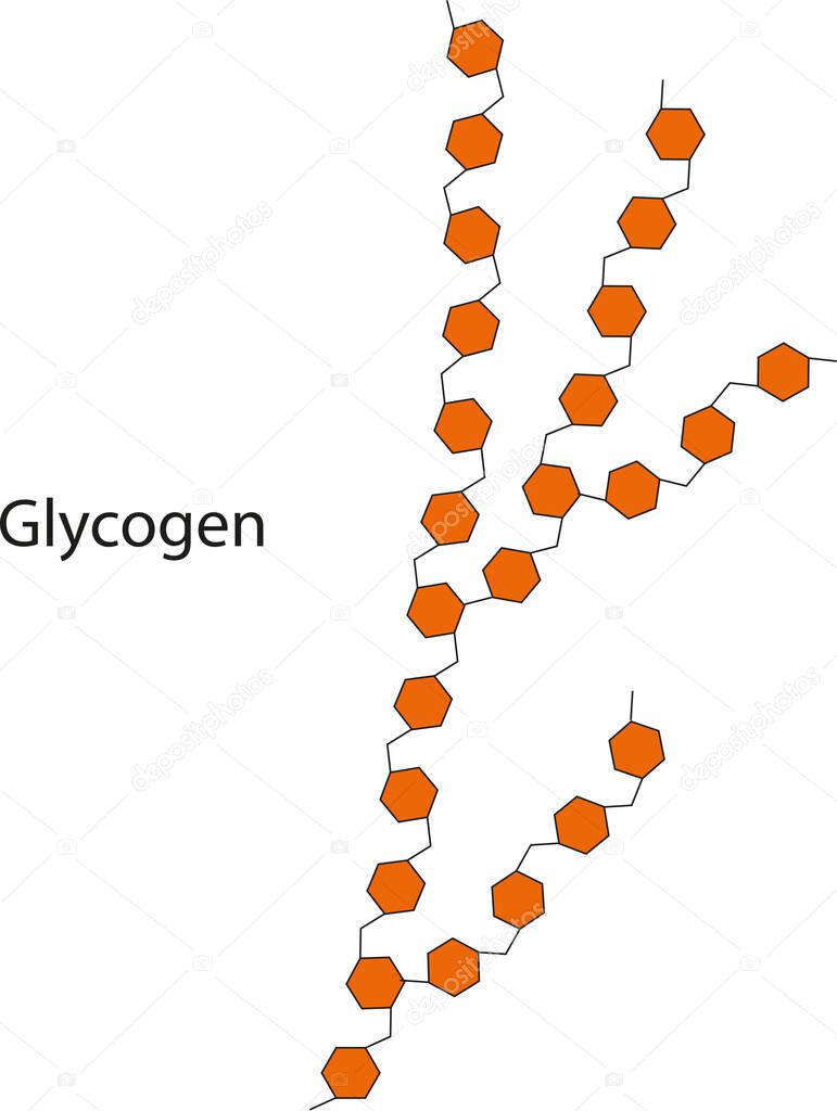 Vector illustration of the chemical structure of Glycogen.