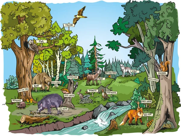 Ecosystème Concept Biodiversité Habitat Forestier Carnivores Oiseaux Sauvages Nature Faune — Image vectorielle