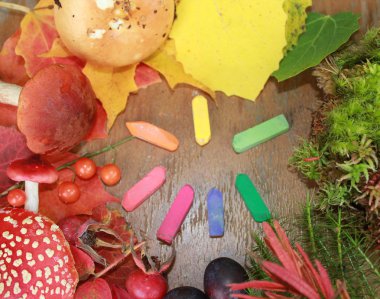 Sonbaharın Renkleri