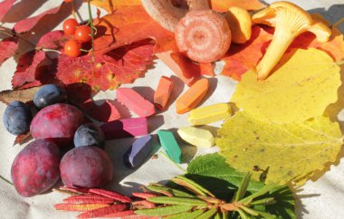 Sonbaharın Renkleri