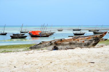 balıkçı tekneleri, nungwi, zanzibar