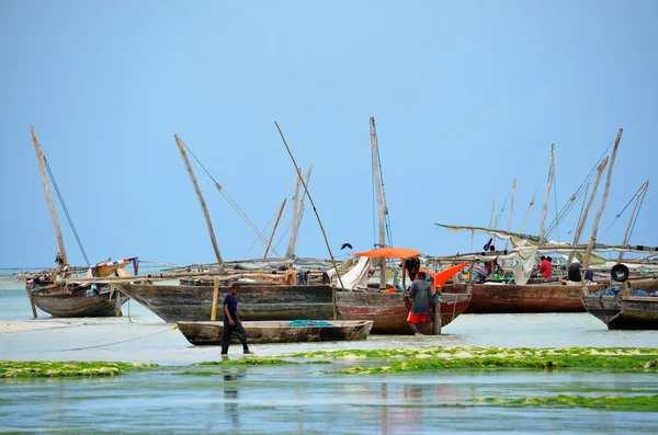 Fiskebåter, Nungwi, Zanzibar – stockfoto