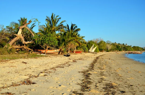 Playa exótica en Unguja Ukuu, Zanzíbar — Foto de Stock