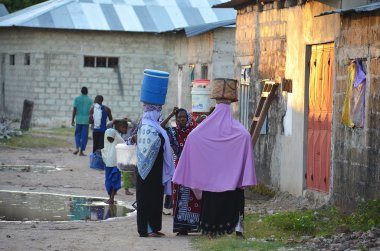 Müslüman kadınlar zanzibar içinde su taşıma
