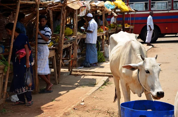 Vida ocupada em Sri Lanka — Fotografia de Stock