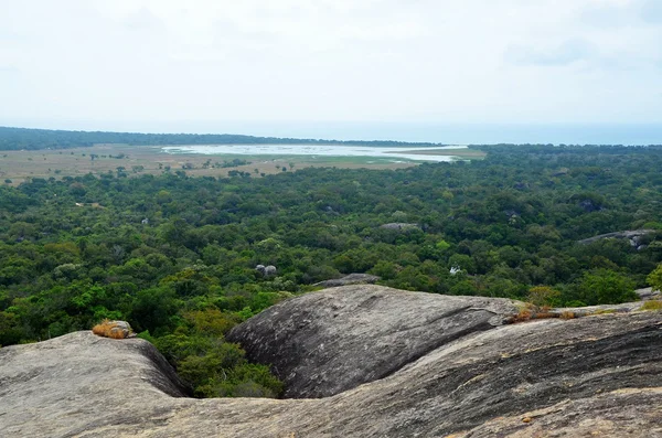 Vue sur la jungle autour de la baie d'Arugam, Sr. Lanka — Photo