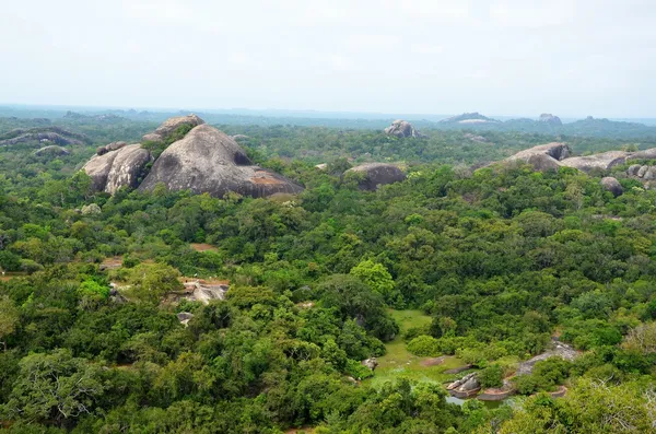 Vue sur la jungle autour de la baie d'Arugam, Sr. Lanka — Photo