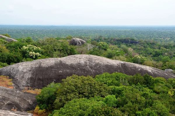 Blick auf den Dschungel rund um die Rucola-Bucht, srí lanka — Stockfoto