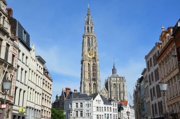 Antwerpen mimarisinde — Stok fotoğraf
