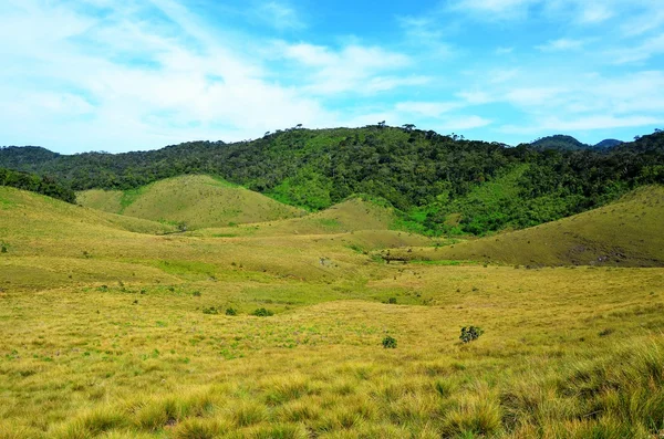 Yatay Milli Parkı horton Plains, sri lanka