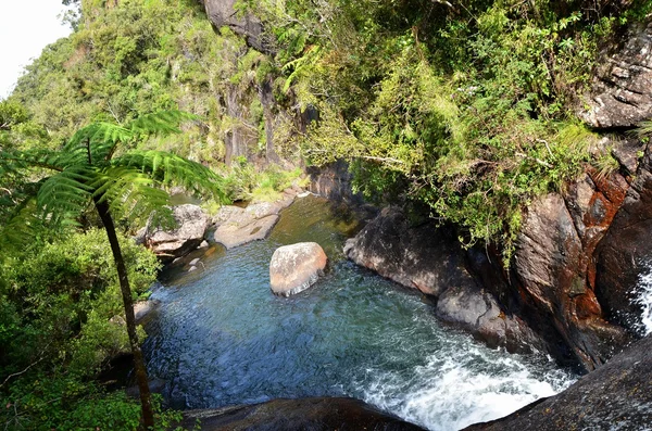 Waterfall in National Park Horton Plains, Sri Lanka — Stock Photo, Image