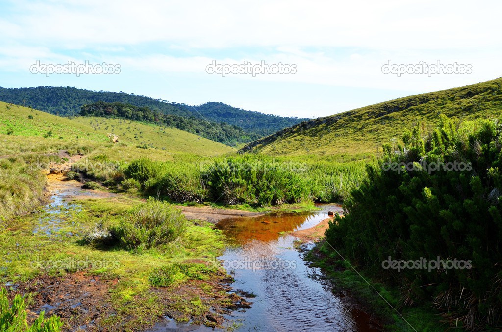 Landscape of National Park Horton Plains, Sri Lanka