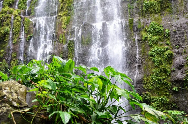 Waterfalls Los Chorros, El Salvador — Stock Photo, Image