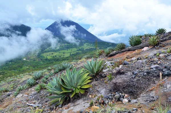 Vista del volcán activo Yzalco — Foto de Stock