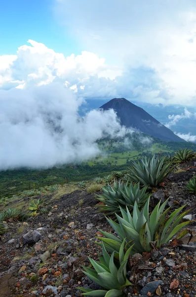 Volcano Yzalco, Сальвадор — стоковое фото