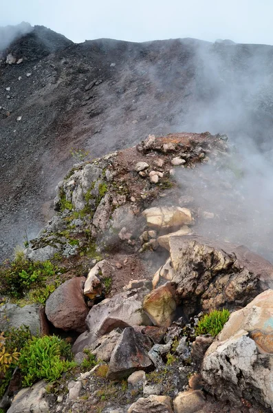 Crater of volcan Yzalco, El Salvador — Stock Photo, Image