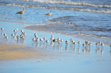 Playa El Espino, El Salvador