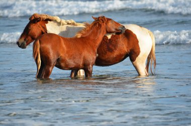 Playa El Espino, El Salvador