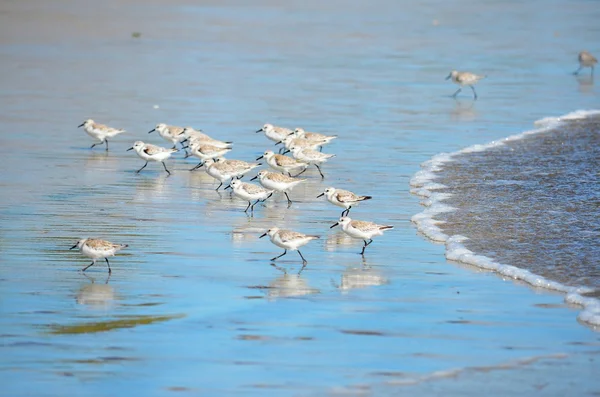 Playa El Espino, El Salvador — Stock Photo, Image