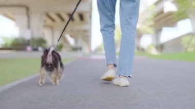 Parkta köpeğiyle yürüyen mutlu Asyalı bir kadın. Hayvan sever kavramı