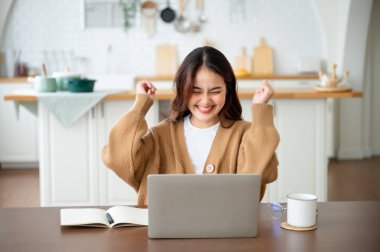 Asyalı bir kadının kazanmasını ya da bilgisayar laptopunda ecommerce alışveriş teklifi almasını kutlayan komik bir coşku. Heyecanlı mutlu kız kazanan başarıyı kutlayan deftere bakıyor.