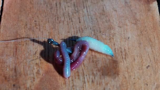 Maggots Worms Fishing Hook Fish Bait — Stockvideo