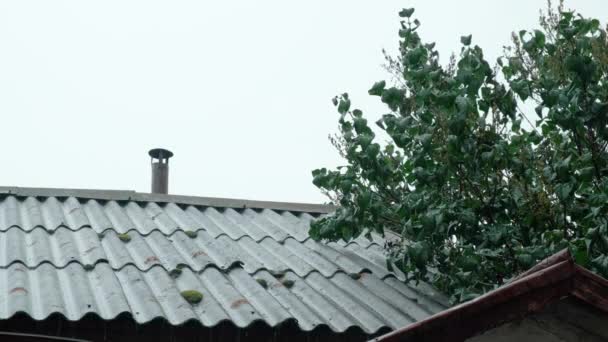 Капли Дождя Падают Крышу Старого Здания Осенние Осадки — стоковое видео