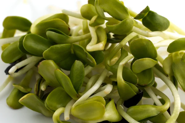 Горстка зеленой капусты на белом фоне - макрос — стоковое фото