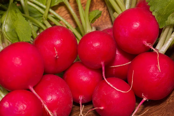 Bundle of red radishes - closeup — Stock Photo, Image