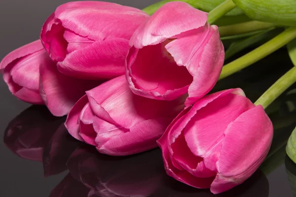 Gruppe von Blume - rosa Tulpen isoliert auf schwarzem Hintergrund — Stockfoto