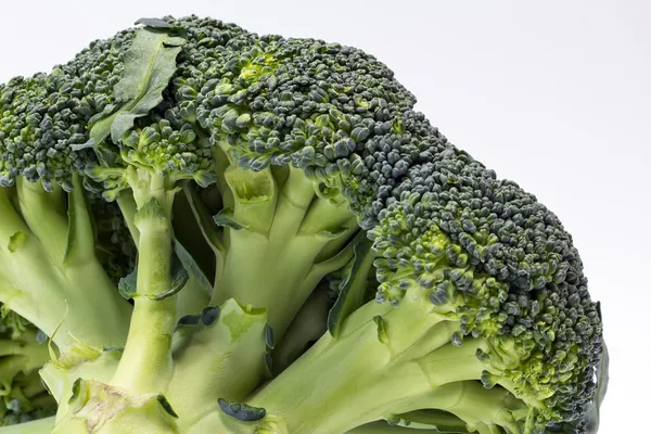 Single green broccoli isolated on white background - macro — Stock Photo, Image
