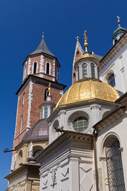 Polonya eski cracow şehir içinde wawel Hill Wawel Katedrali