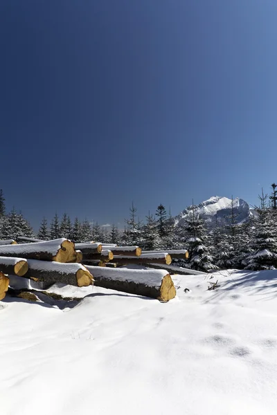 在塔特拉山在波兰与木块堆雪冬季 — 图库照片