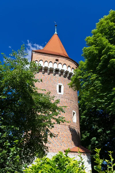 在波兰克拉科夫市设防的塔 — 图库照片