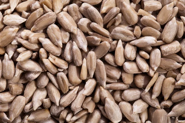 Heap de semente de girassol de perto — Fotografia de Stock