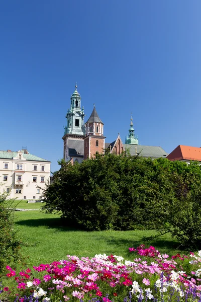 Wawel Cathedral em wawel hill na cidade velha em cracow em polônia — Fotografia de Stock