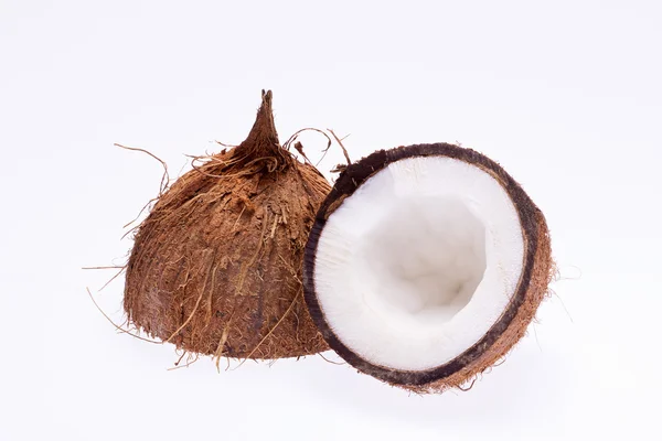 Coco seccionado isolado no fundo branco fechar — Fotografia de Stock