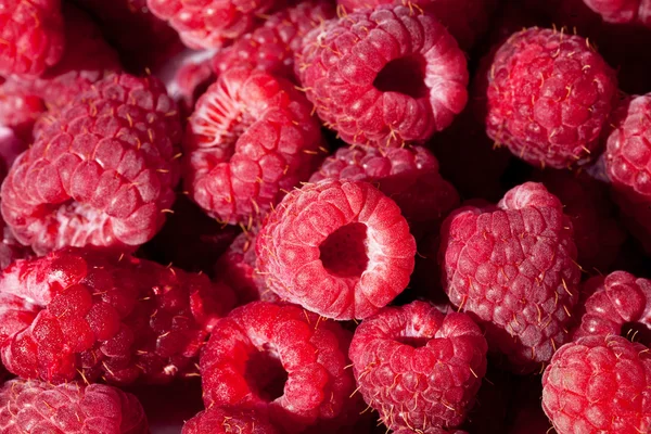 Group of red rasberries close up — Stock Photo, Image