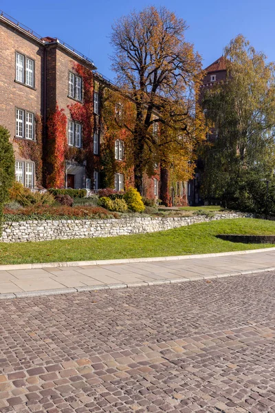 Krakow, Polonya - 25 Ekim 2021: Güneşli bir sonbahar gününde Wawel Kraliyet Kalesi, rengarenk yabani şarap sarmaşıklarının sarmaşıkları eşliğinde yapılan bina cephesi