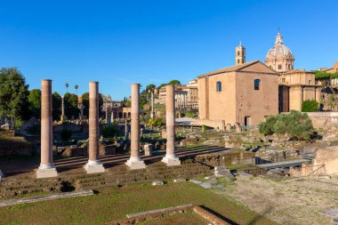 Forum Romanum, çok sayıda önemli antik binanın kalıntıları, Venüs Tapınağı ve Roman sütunları, Roma, İtalya